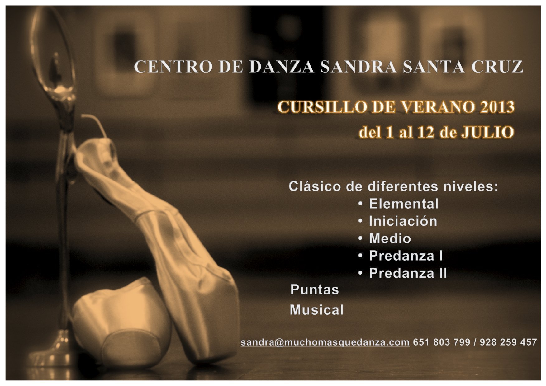 Cartel verano 2013 del Centro de Danza Sandra Santa Cruz