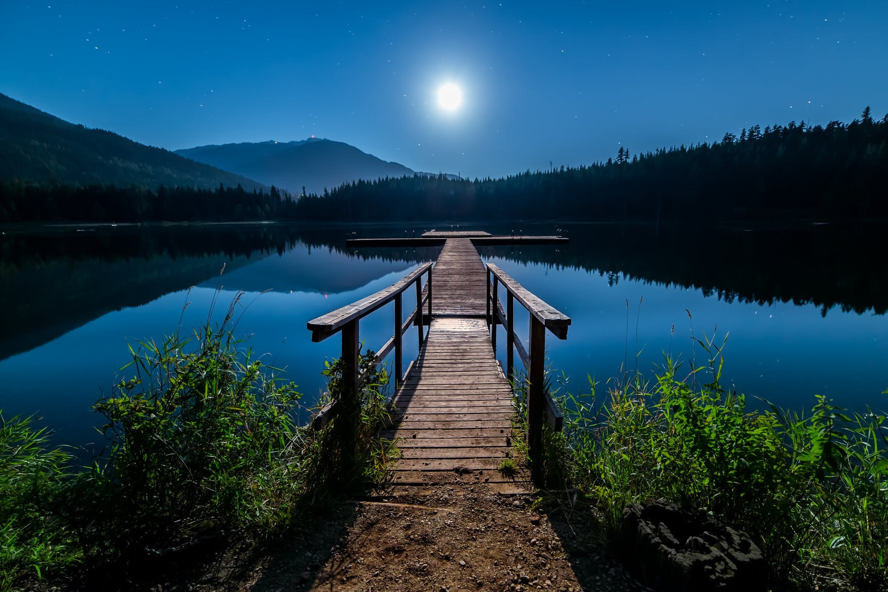 brown wooden dock
