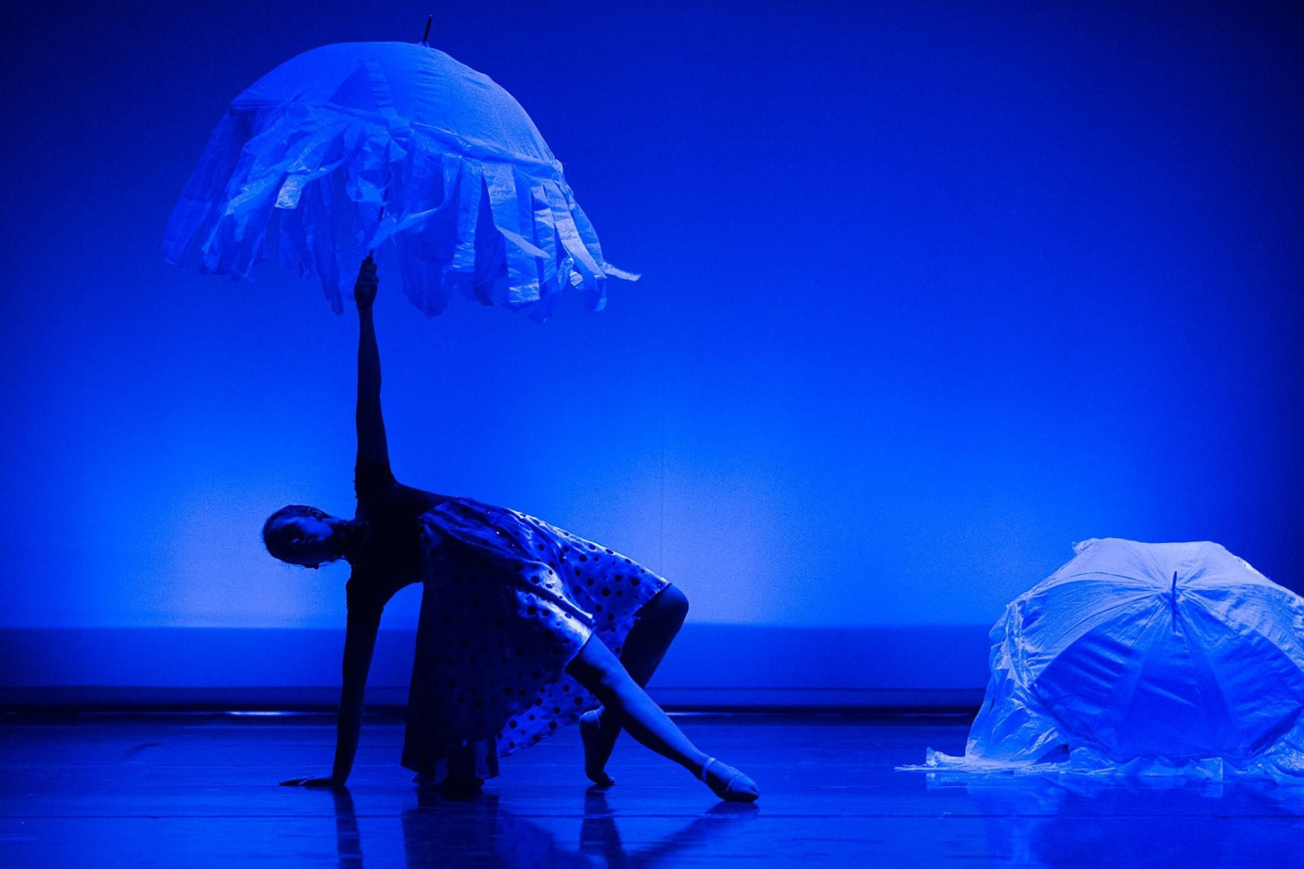 Foto de dos bailarinas del Centro de Danza Sandra Santa Cruz iluminadas en azul mar bailando con paraguas blancos decorados como medusas. Coreografía de Sandra Santa Cruz en su espectáculo: Con mis mejores deseos.