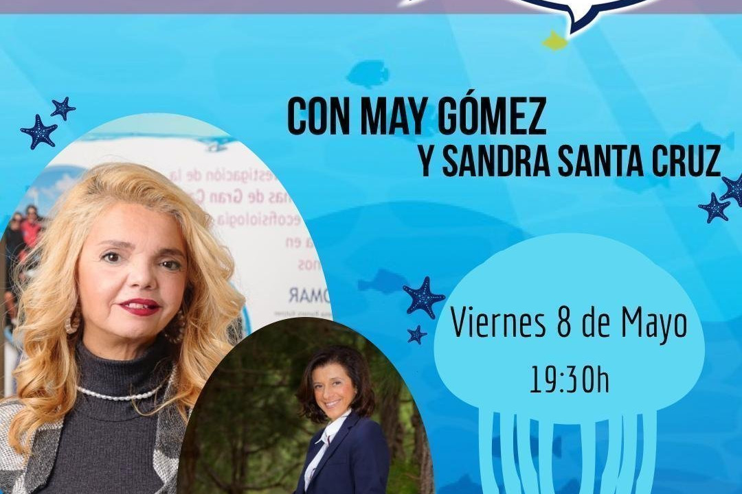 Cartel de descubriendo 