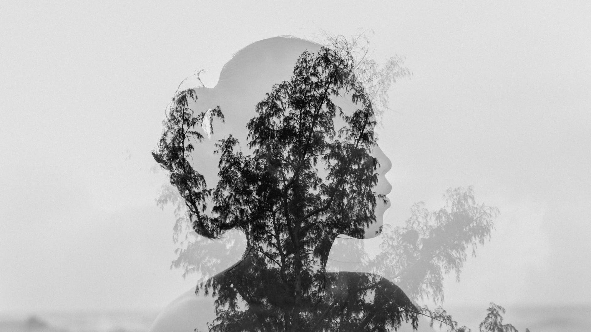 silhouette of asian woman behind tree branch near endless ocean