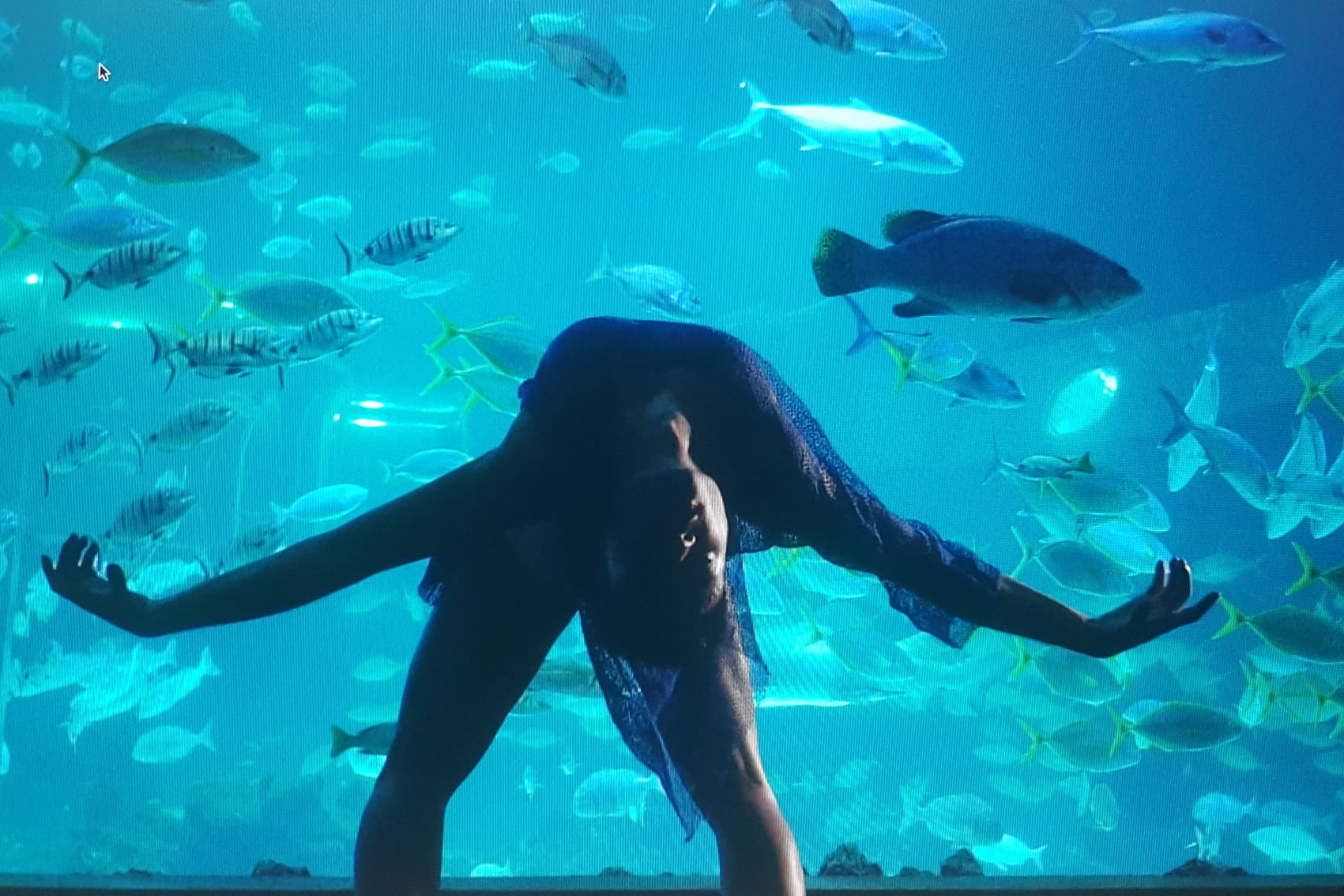Foto de la grabación de Si los peces hablaran... en el Deep Sea de Poema del Mar para el Día Mundial de los Océanos