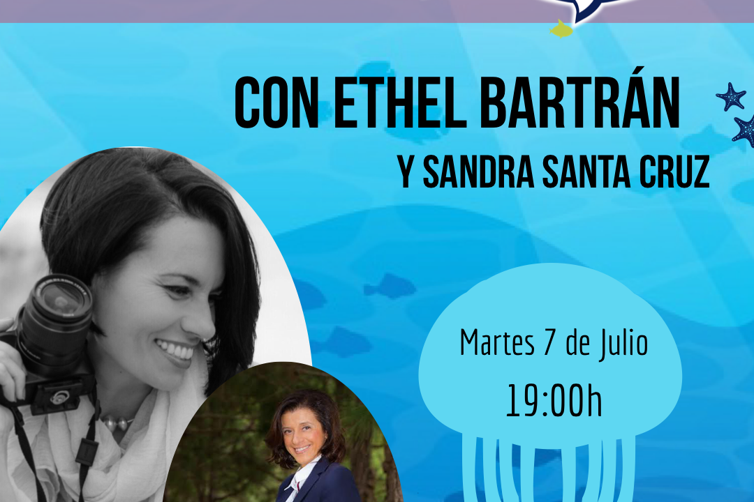Cartel de descubriendo 