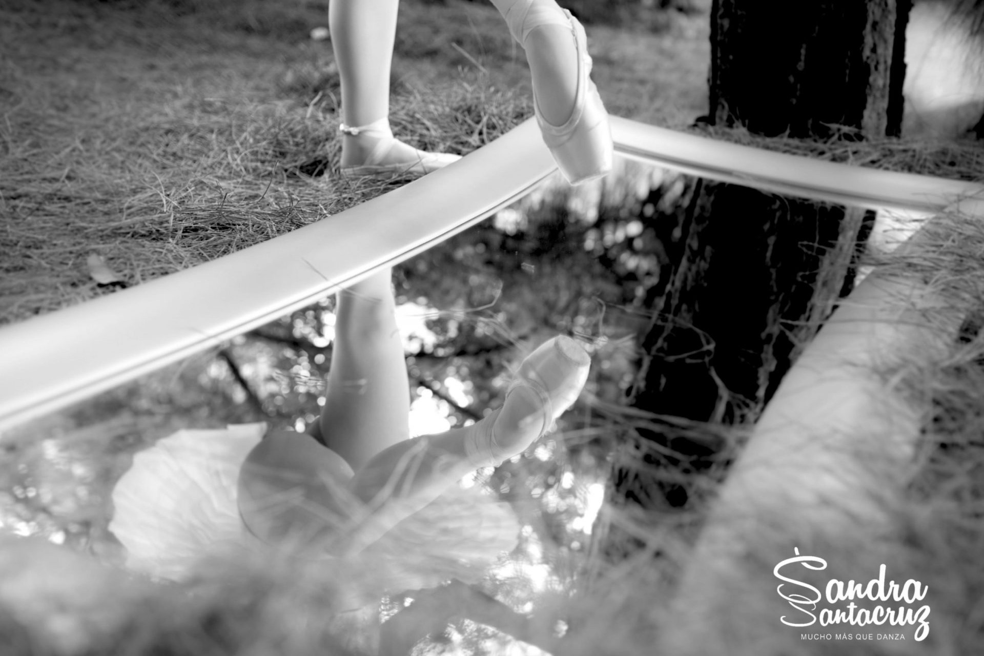 Foto de unos pies de una bailarina del Centro de Danza Sandra Santa Cruz, con unas zapatillas de puntas haciendo un attitude delante, que se reflejan en un espejo acostado en el suelo de un campo lleno de piñocha. En el espejo se puede apreciar que lleva puesto un tutú de plato y el tronco de árbol enorme.