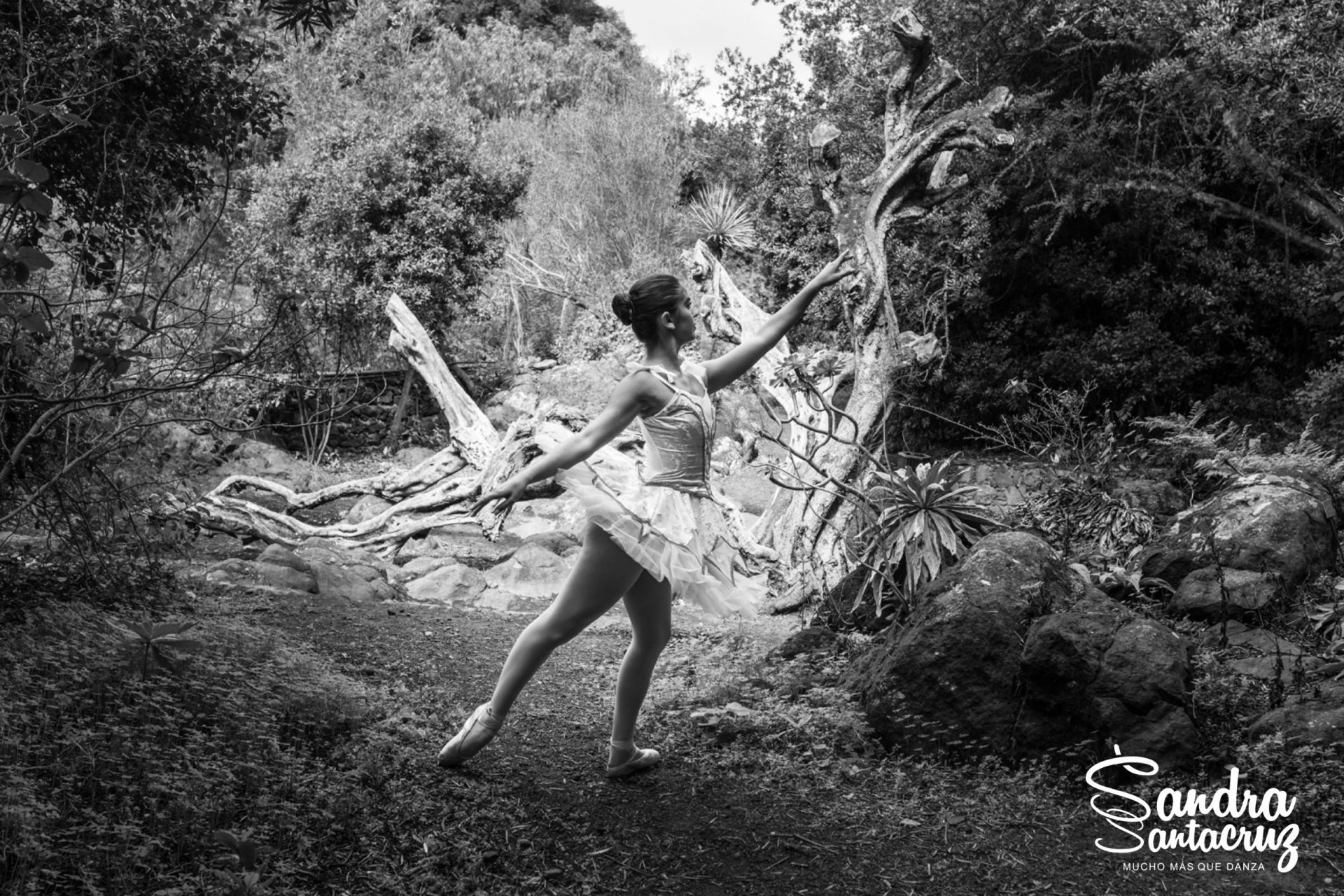 Foto de una bailarina del Centro de Danza Sandra Santa Cruz con un tutú blanco haciendo un arabés en alonyé en el campo.