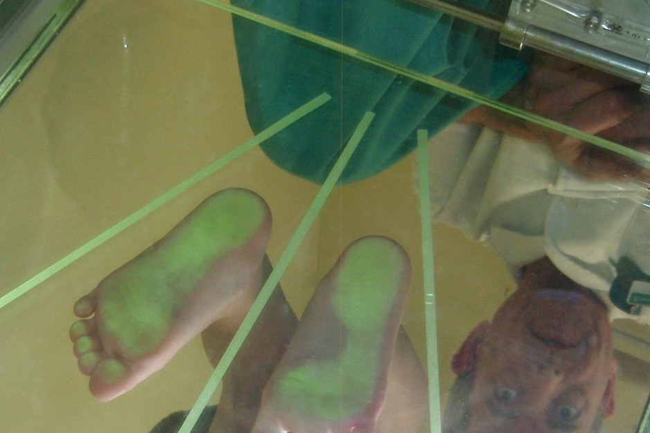 Centro de Danza Sandra Santa Cruz_Anatomía