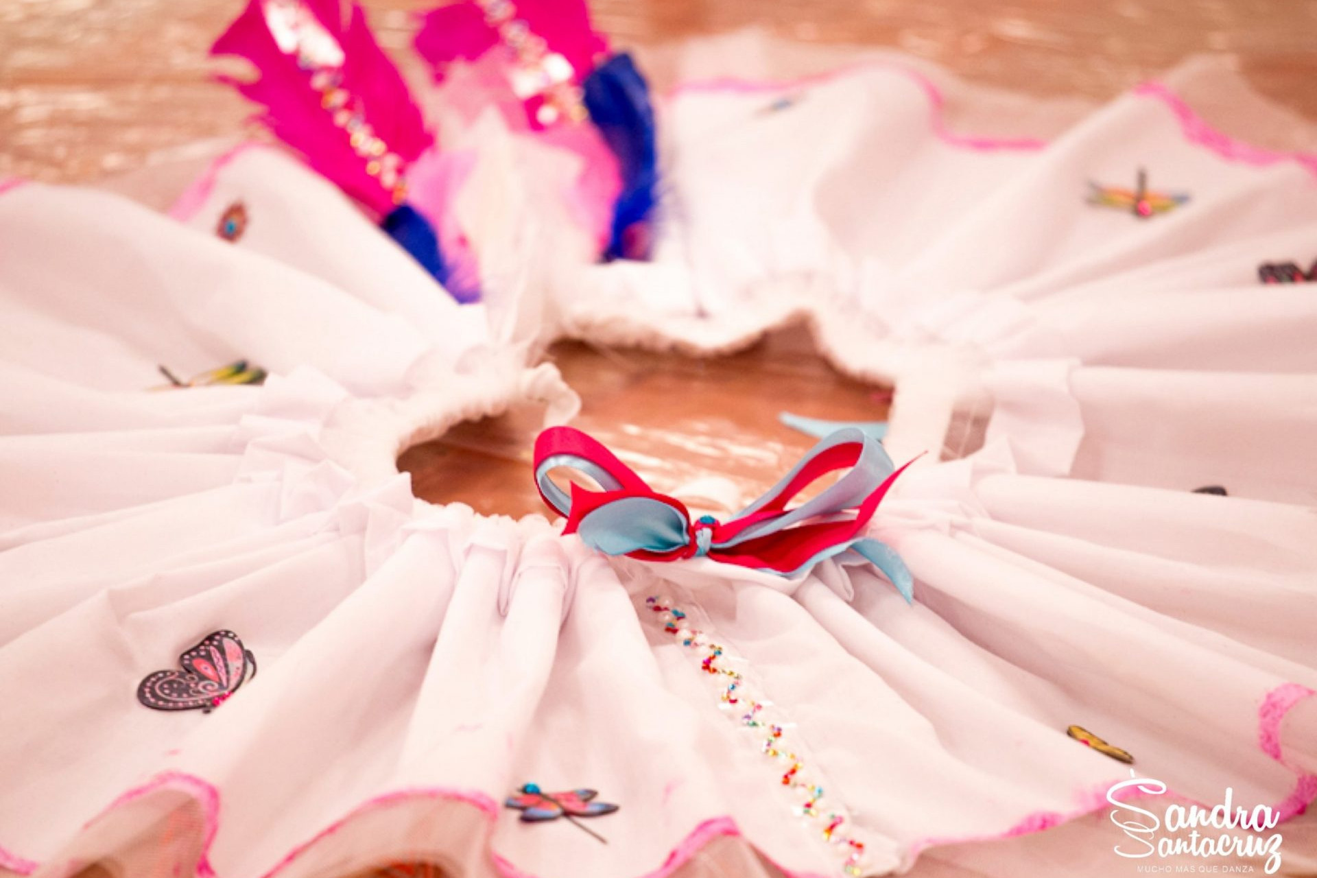 Un tutú de platos muy divertido con plumas, y ribetes de diferentes colores diseñado por una alumna del Centro de Danza Sandra Santa Cruz