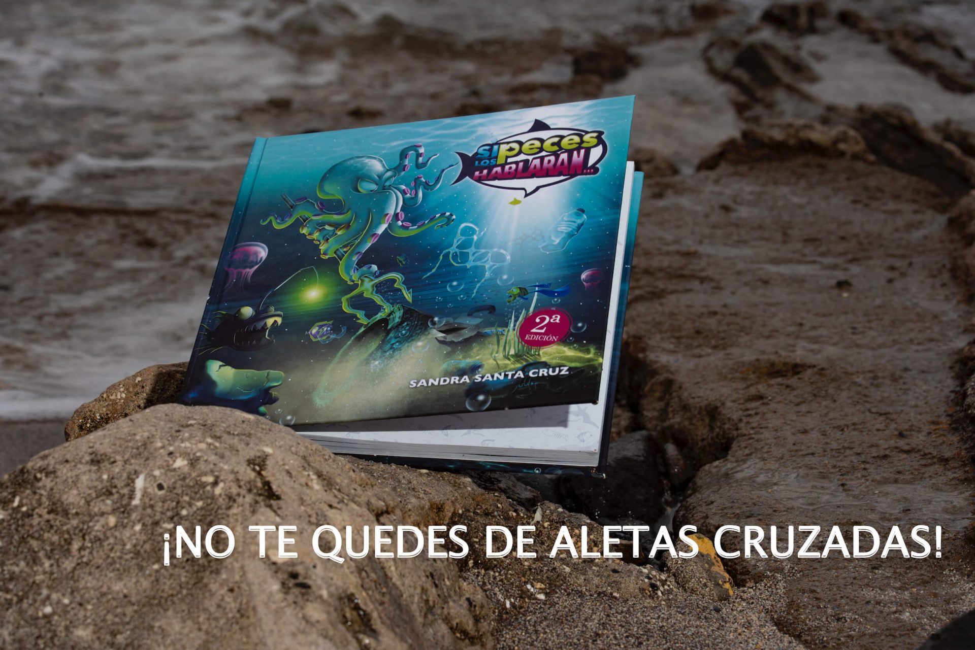 Foto de un libro de la segunda edición del cuento Si los peces hablaran de Sandra Santa Cruz en las rocas, debajo se lee No te quedes de Aletas Cruzadas