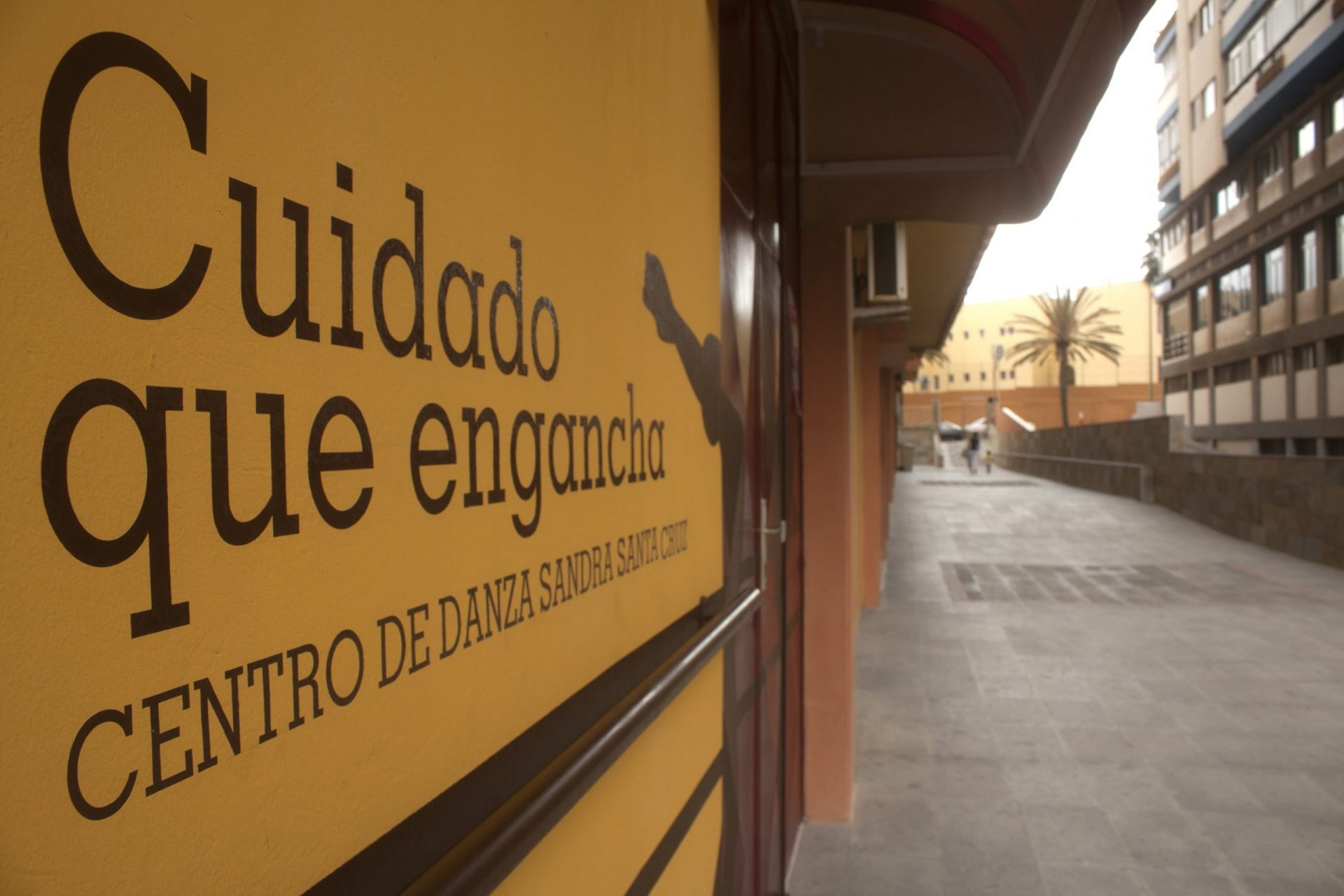 Foto de la entrada del Centro de Danza Sandra Santa Cruz donde se aprecia la barra que está puesta en su fachada y unos bailarines pintados que bailan entre la fachada y la puerta y tiene escrito debajo de Centro de Danza Sandra Santa Cruz, la frase: 