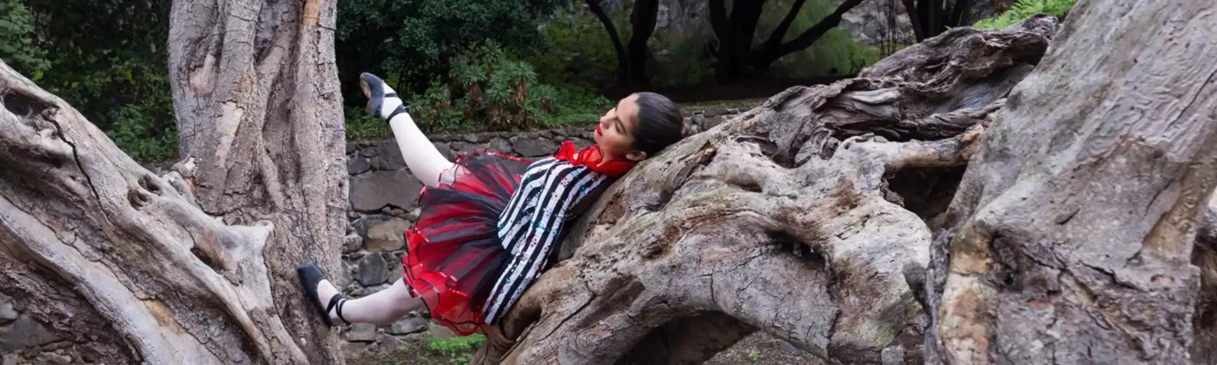 Mucho más que danza postura en arbol
