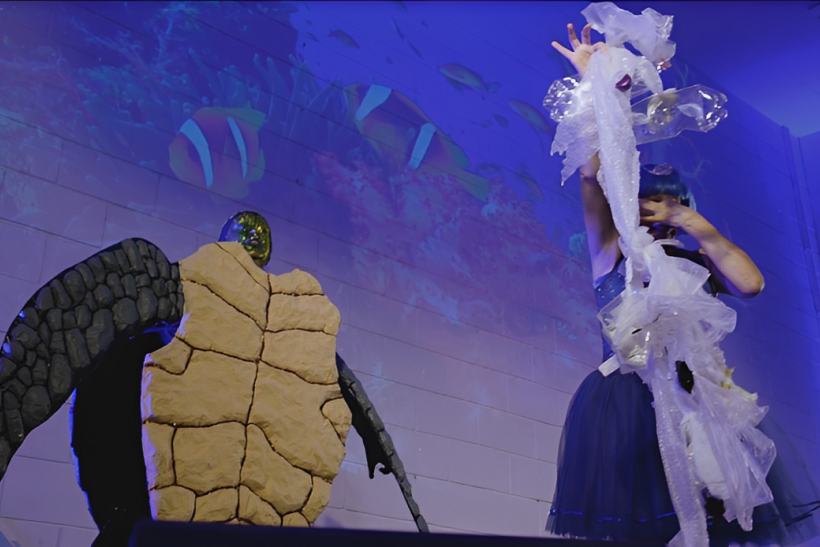 Doña Paciencia la tortuga del cuento 